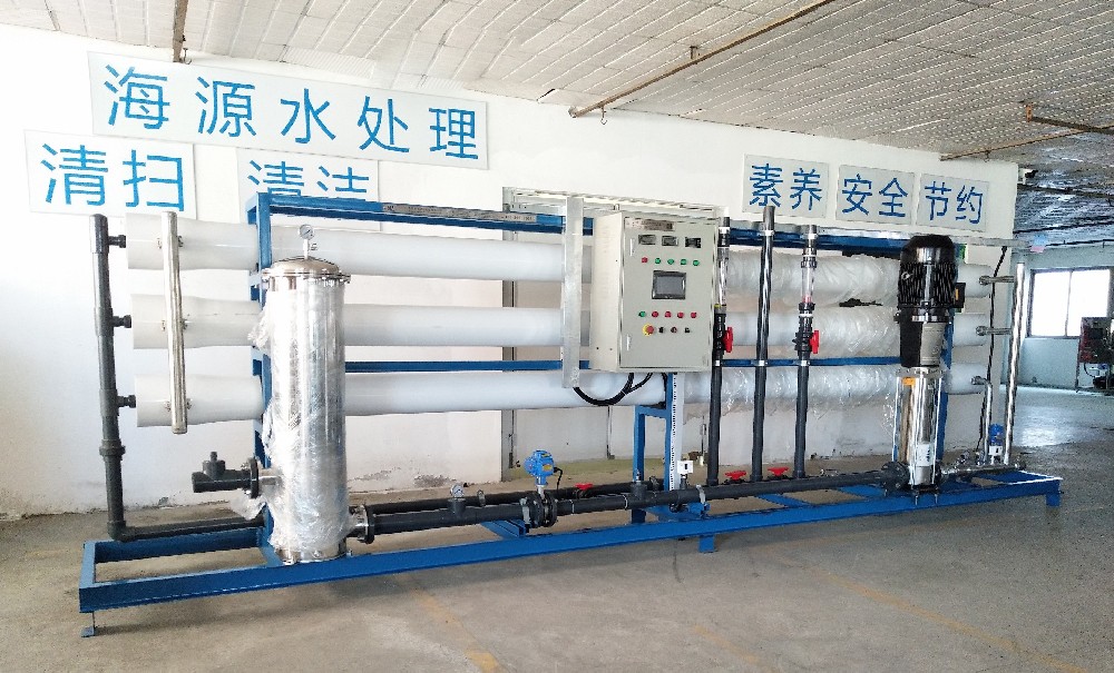 Reverse osmosis pure water system